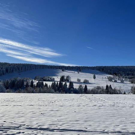 Apartman Nove Hute Sumava Exterior photo